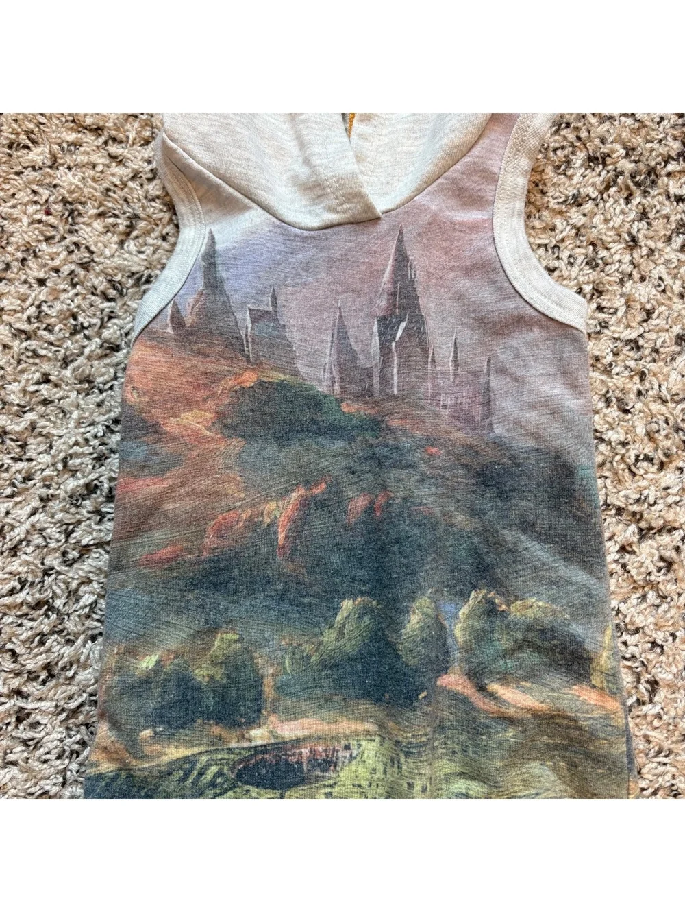 Harry Potter 0-3 Months Baby Romper, Sleeveless and Hooded, Graphic Print